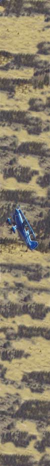 Fitz flyin' his plane Squirt
